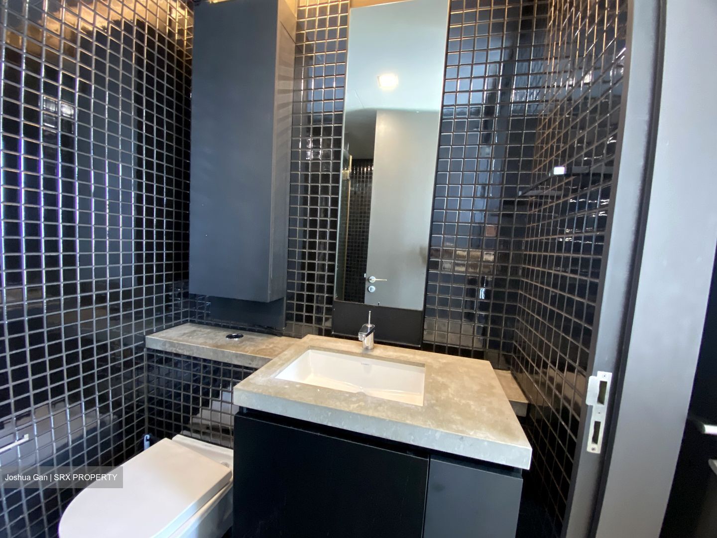 Skysuites@Anson (D2), Apartment #556137851
